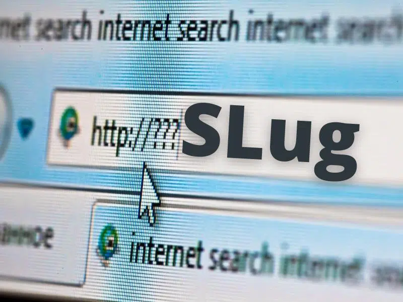 Slug là gì? 4 cách tối ưu Slug trong WordPress hiệu quả cao
