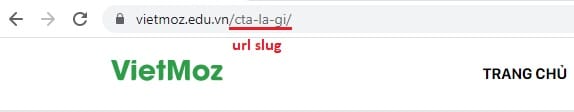 Hình ảnh của URL Slug