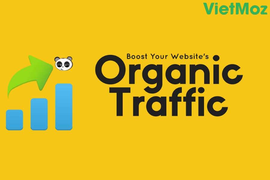 Chi tiết về Organic traffic 