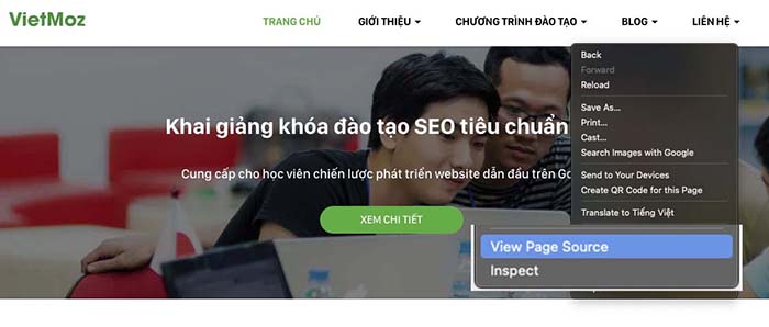 Vietmoz - search website