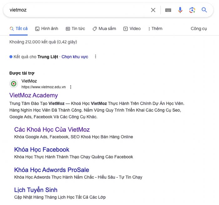 VietMoz - SEO vs PPC