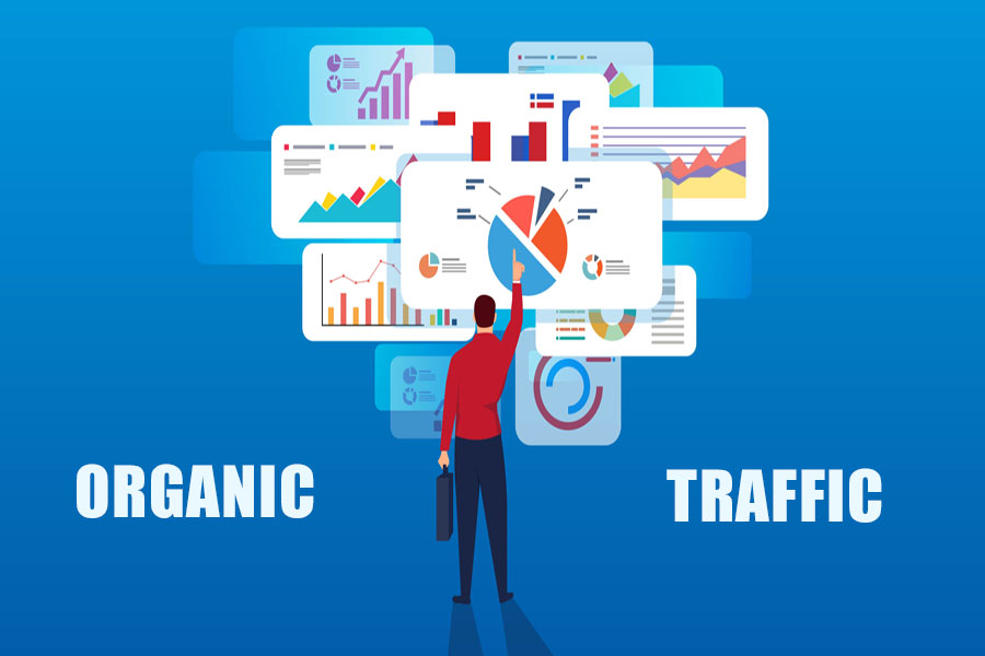 organic traffic là một chỉ số đo lường seo