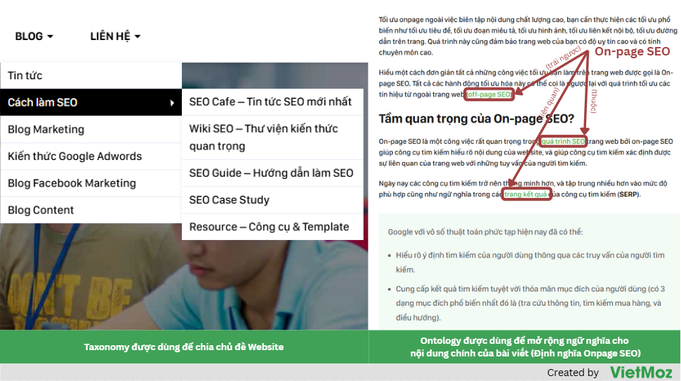 taxonomy và ontology khác nhau trong góc nhìn triển khai nội dung