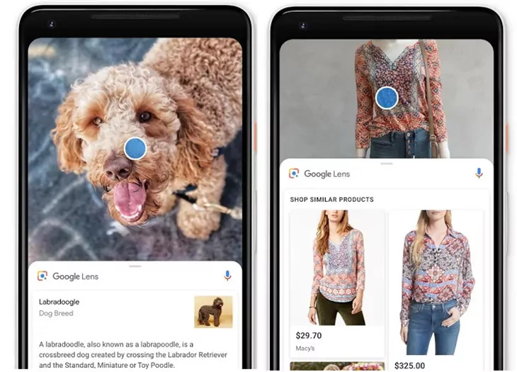 SEO hình ảnh tối ưu alt text và dữ liệu Google Lens