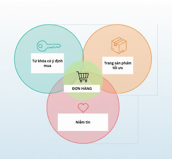 Quy trình SEO website bán hàng từ tìm kiếm đến tạo đơn hàng bền vững